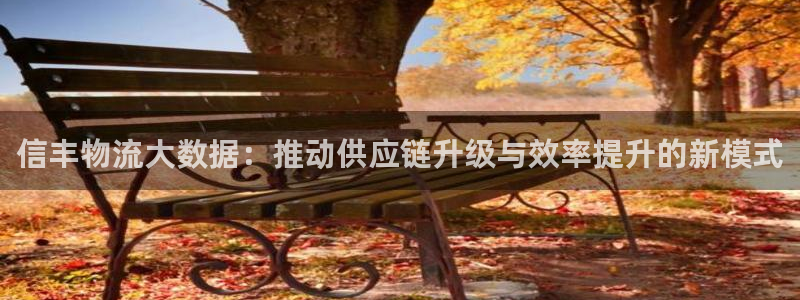 优游国际官网入口pc28：信丰物流大