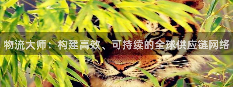 ,优游国际p扣款什么意思：物流大师：