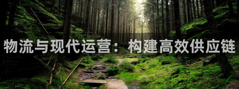 ,优游国际游戏链接：物流与现代运营：