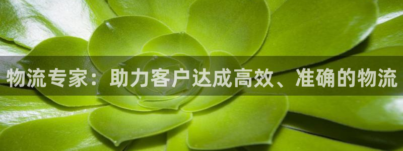 ,优游国际如何看计划：物流专家：助力客户达成高效、准确的物流