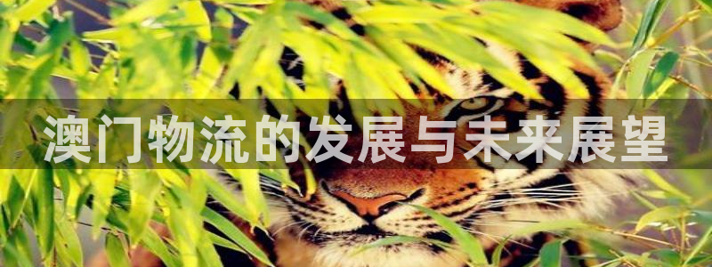 ,优游国际能不能退：澳门物流的发展与
