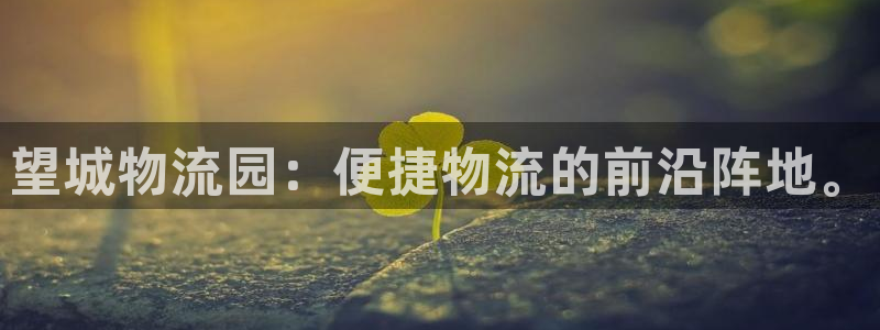优游国际官网下载多少：望城物流园：便