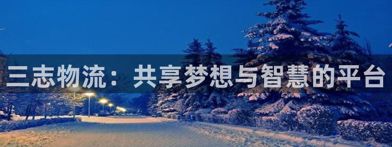 ,优游国际南宫娱乐官网：三志物流：共