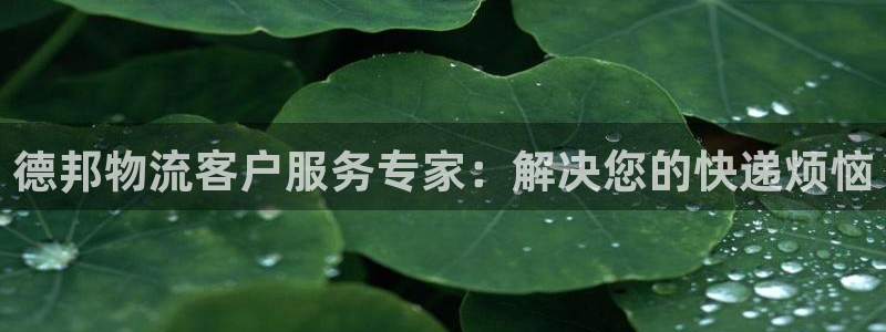 ,优游国际APP是干什么的：德邦物流