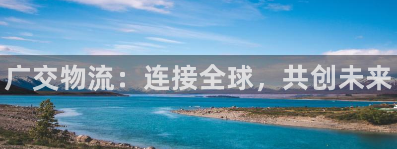 加拿大,优游国际数字规则：广交物流：