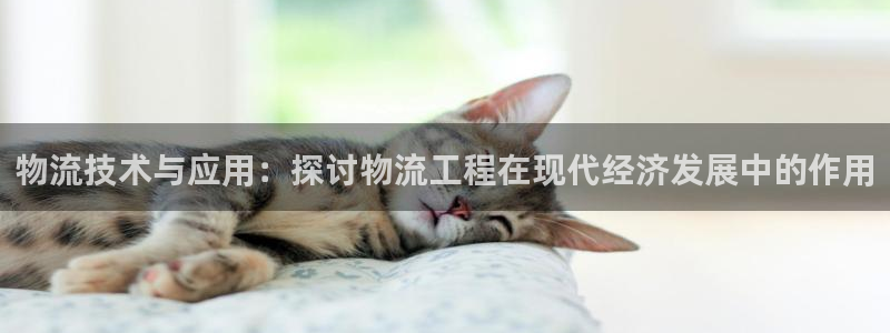 ,优游国际ccm游戏：物流技术与应用