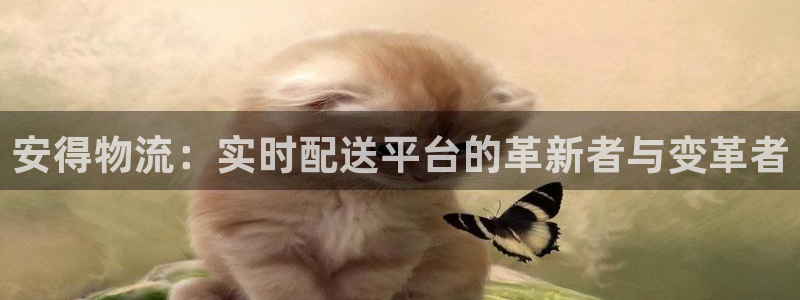 ,优游国际注册链接：安得物流：实时配