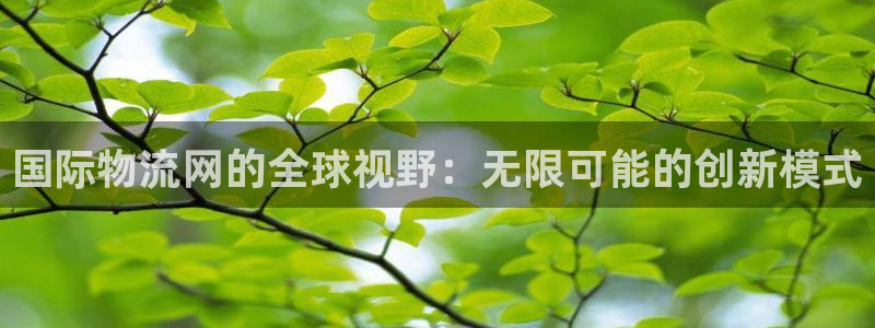 麻将1,优游国际：国际物流网的全球视