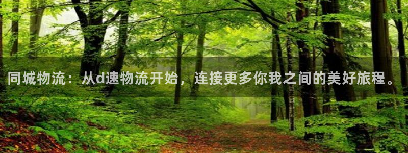 ,优游国际黑款：同城物流：从d速物流