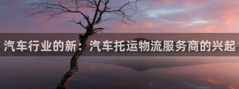 ,优游国际链接是什么：汽车行业的新：