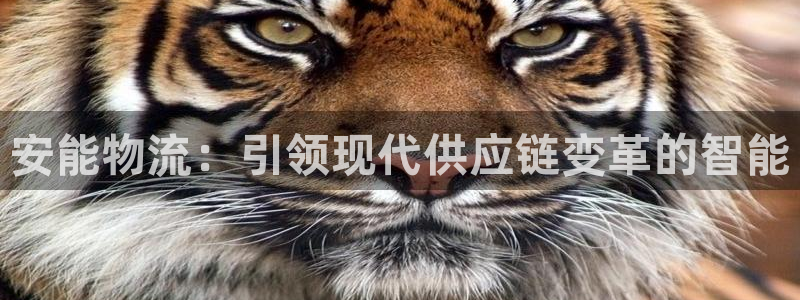 ,优游国际南宫娱乐官网：安能物流：引