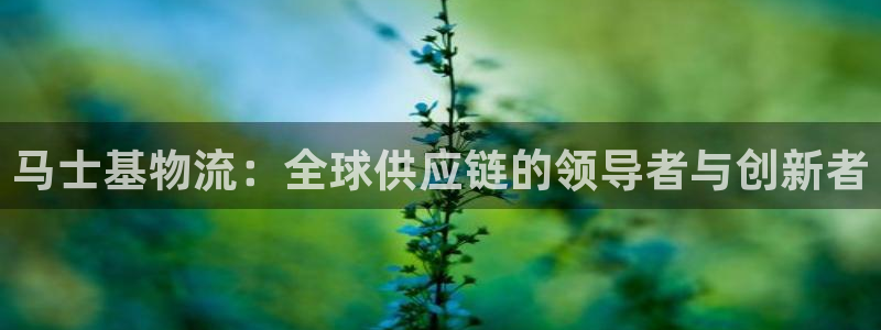 ,优游国际麻将