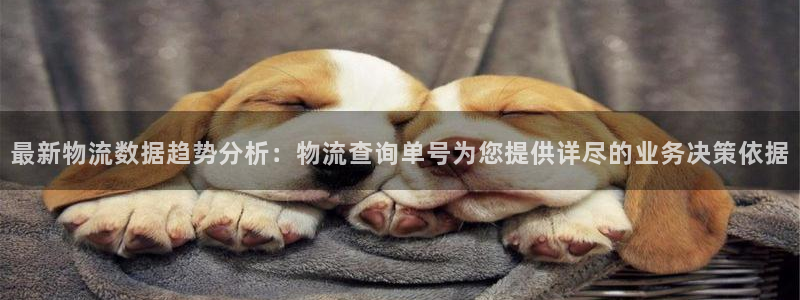 ,优游国际忘记账号