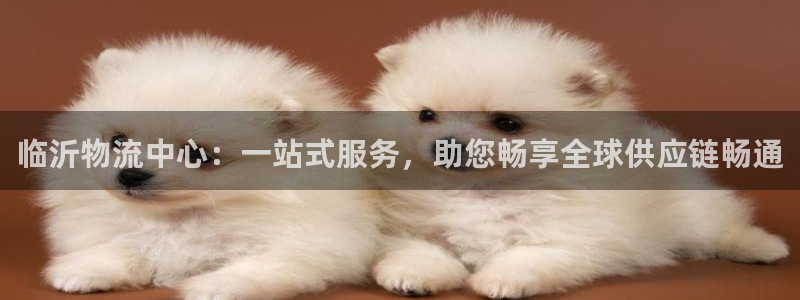 ,优游国际充值不处理：临沂物流中心：