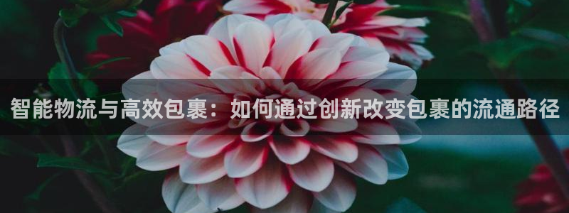 ,优游国际注册账号：智能物流与高效包