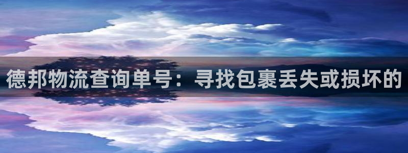 ,优游国际注册号：德邦物流查询单号：