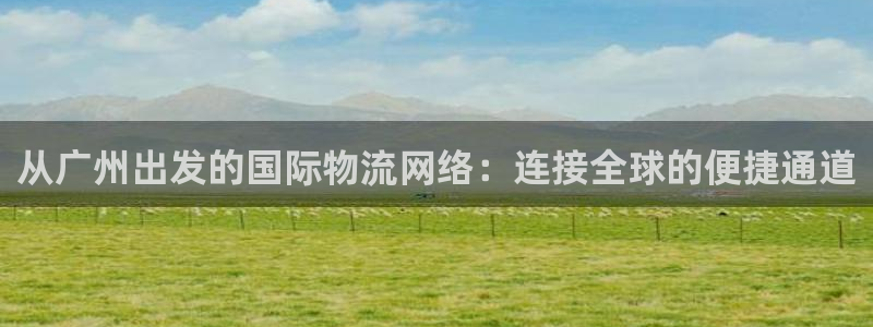 ,优游国际如何注销账号：从广州出发的