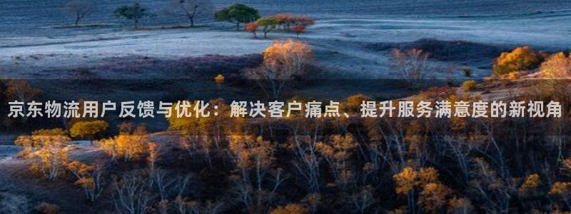 ,优游国际加拿大app预测