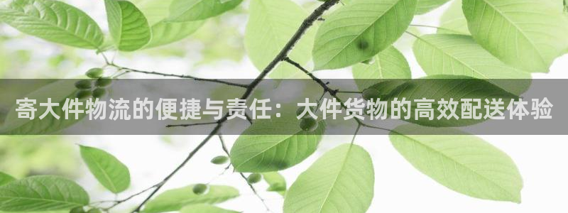 ,优游国际口内径是多大：寄大件物流的