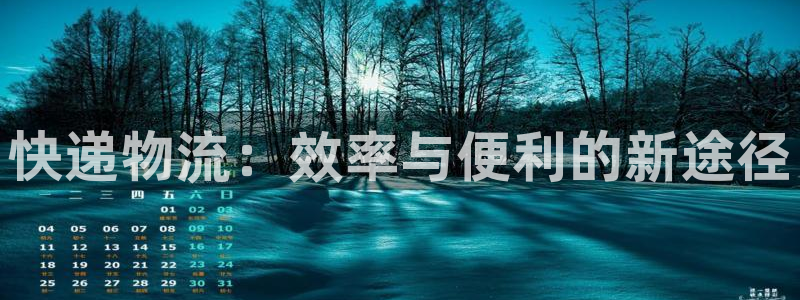 ,优游国际玩法：快递物流：效率与便利
