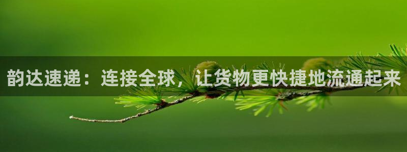 ,优游国际黑平台吗:韵达速递:连接全