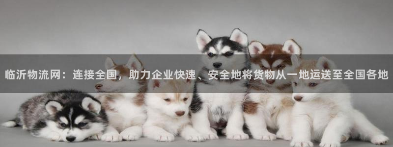 ,优游国际加拿大技巧：临沂物流网：连接全国，助力企业快速、安