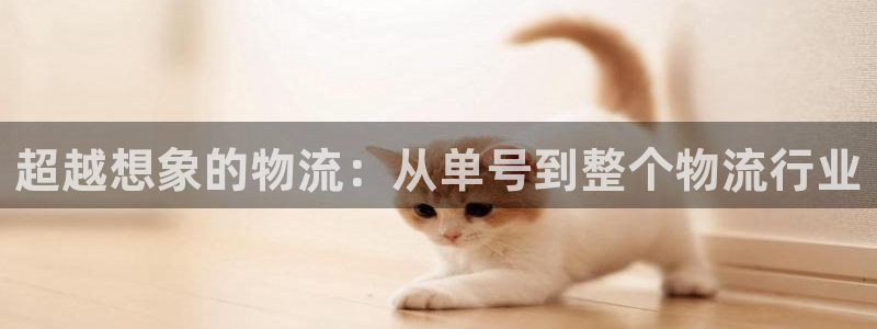 ,优游国际推广链接是多少个