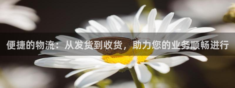 ,优游国际p扣除是什么意思：便捷的物