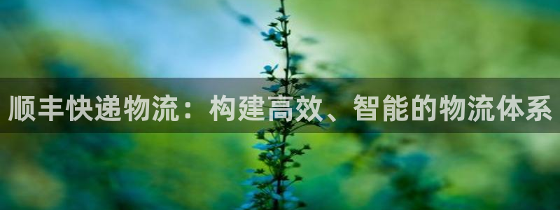 ,优游国际头像