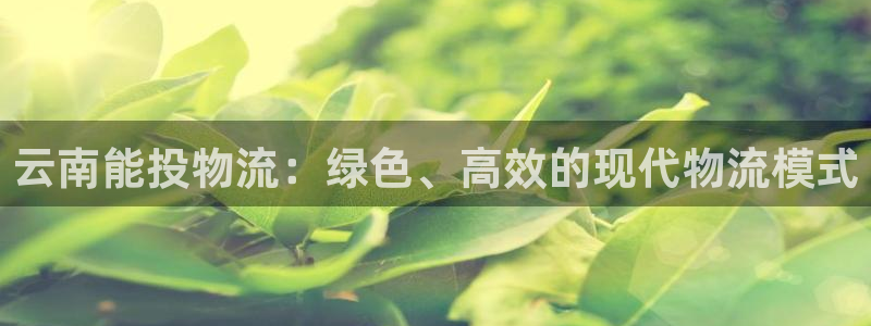 ,优游国际注册地址：云南能投物流：绿