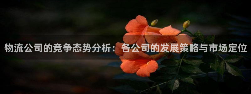 ,优游国际正规吗:物流公司的竞争态势