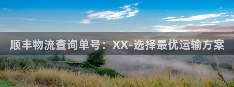 ,优游国际流水怎么算：顺丰物流查询单