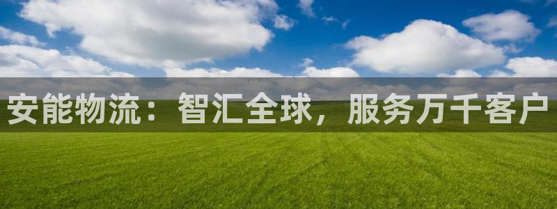 ,优游国际初始资金密码在哪里改：安能