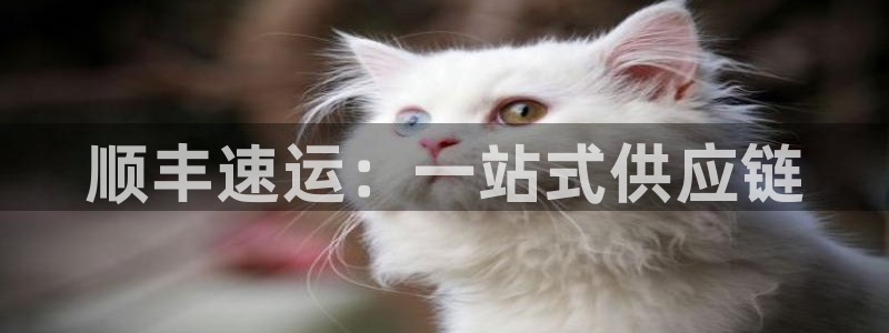 优游国际官网下载多少钱