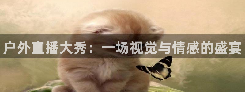 nba直播jrkan：户外直播大秀：一场视觉与情感的盛宴