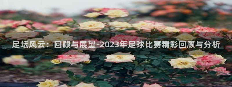 jrkankan体育直播：足坛风云：回顾与展望-2023年足球比赛精彩回顾与分析