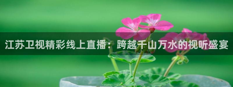 jrkankan体育直播：江苏卫视精彩线上直播：跨越千山万水的视听盛宴
