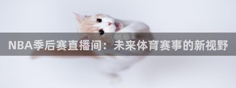jrkan低调看高清直播nba：NBA季后赛直播间：未来体育赛事的新视野