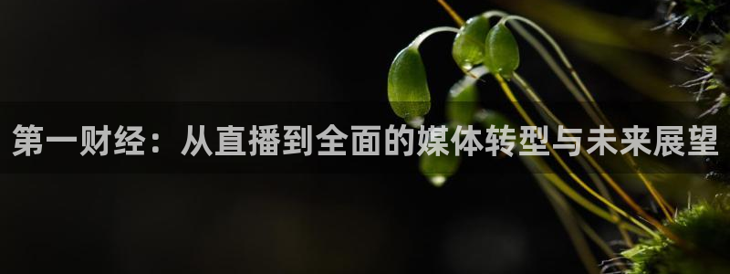jrkan直播免费体育直播：第一财经：从直播到全面的媒体转型与未来展望