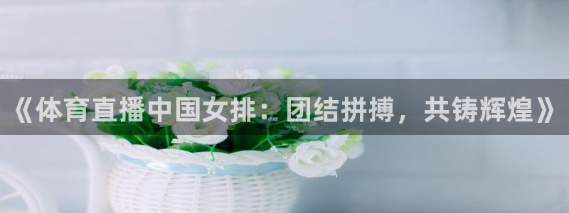 jrkan2022直播体育网：《体育直播中国女排：团结拼搏，共铸辉煌》