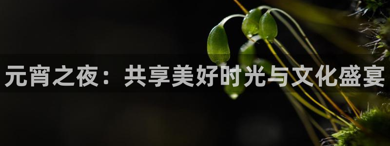 jrkan直播篮球：元宵之夜：共享美好时光与文化盛宴