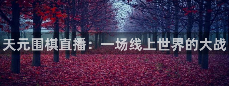 jrkan直播nba：天元围棋直播：一场线上世界的大战